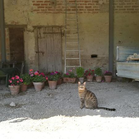 Agriturismo Pian Del Tevere Torgiano Εξωτερικό φωτογραφία