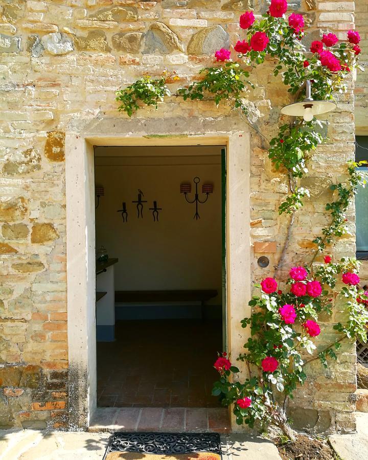 Agriturismo Pian Del Tevere Torgiano Εξωτερικό φωτογραφία
