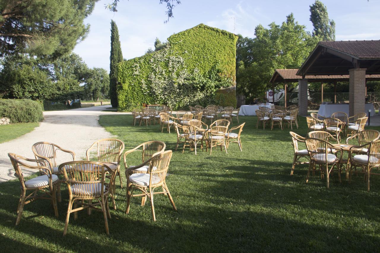 Agriturismo Pian Del Tevere Torgiano Εξωτερικό φωτογραφία