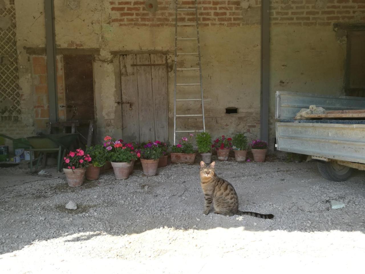 Agriturismo Pian Del Tevere Torgiano Εξωτερικό φωτογραφία