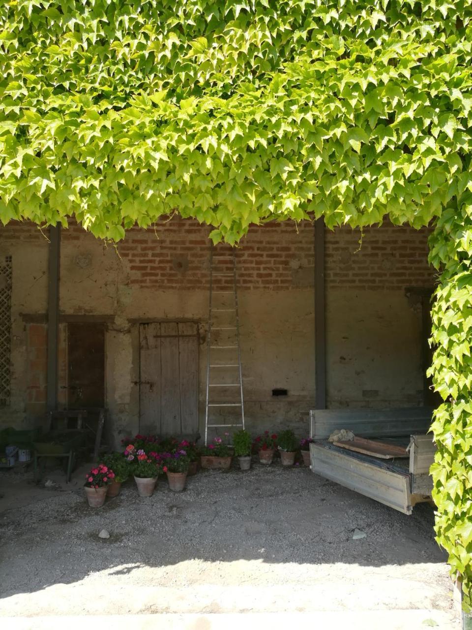 Agriturismo Pian Del Tevere Torgiano Εξωτερικό φωτογραφία